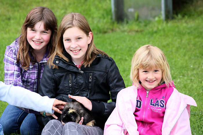Urlaub auf dem Ferienhof in Bayern